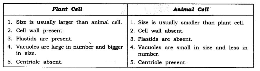 ncert-solutions-for-class-9-science-the-fundamental-unit-of-life-9