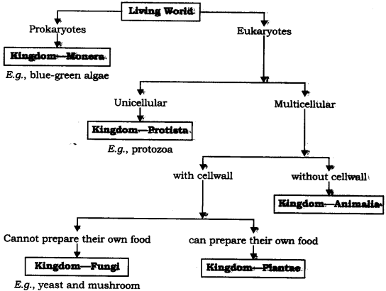 ncert-solutions-for-class-9-science-diversity-in-living-organisms-2